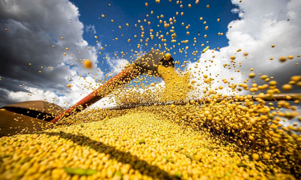 Safra agrícola deverá superar 318 milhões de toneladas neste ano .