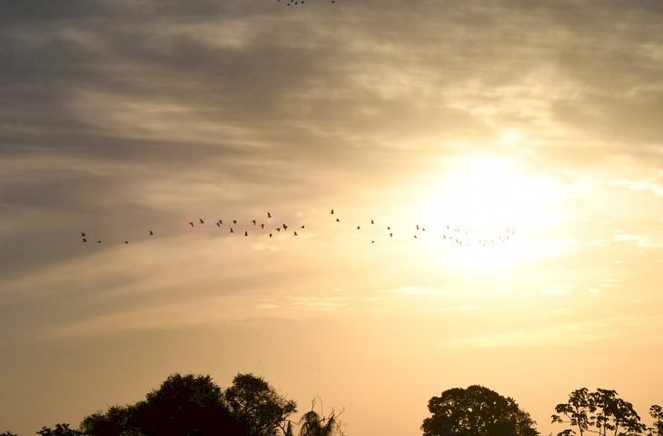 Previsão para esta quarta-feira é de sol e temperaturas podem atingir 40°C em MS.
