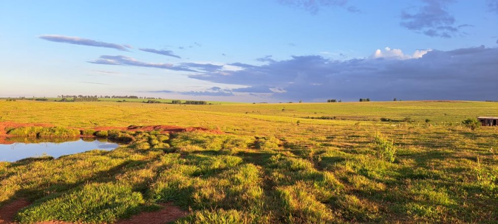 Calor continua em Mato Grosso do Sul nesta segunda-feira e pode chegar aos 43°C