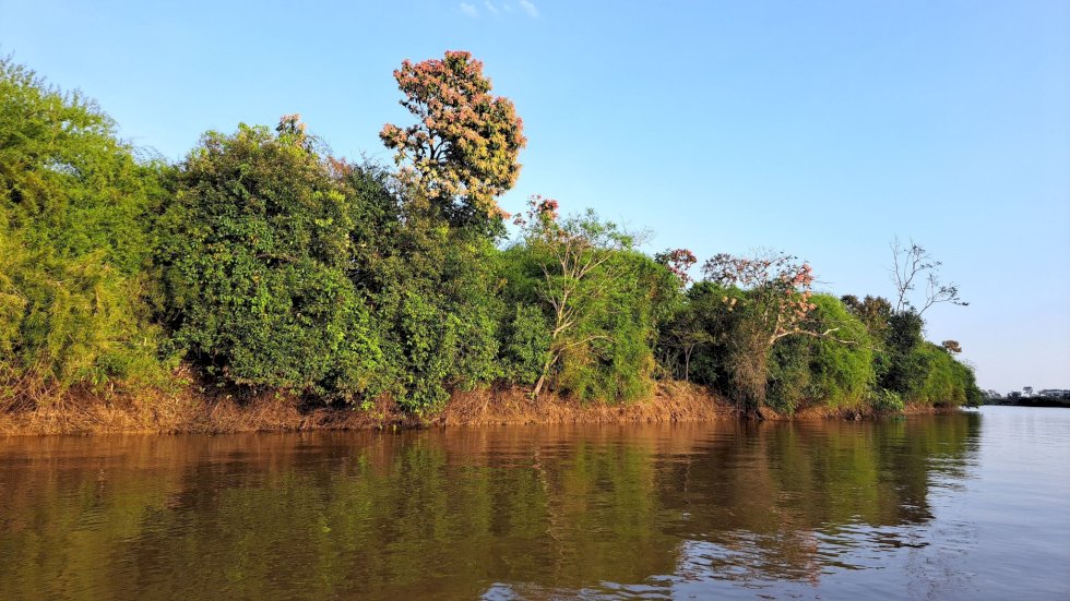 Temperaturas voltam a subir e Mato Grosso do Sul registra até 42°C nesta terça-feira
