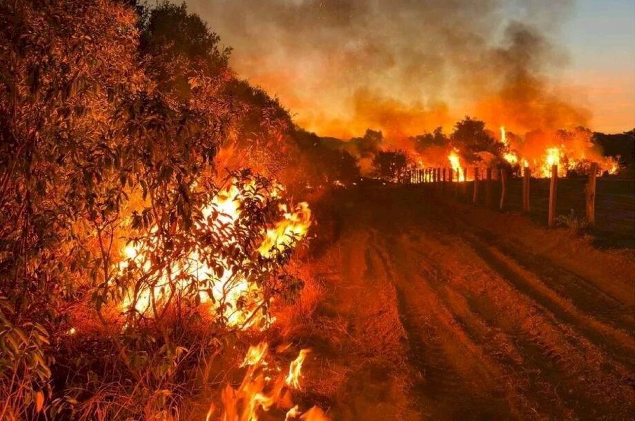 Pantanal sofre e grande área está chamas e Governo de MS decreta situação de emergência em 5 cidades por incêndios florestais