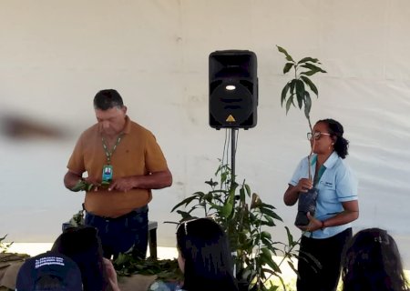 Instrutores de Ivinhema ministram curso na Oficina da Agraer na Tecnofam é esperança de aumentar produção