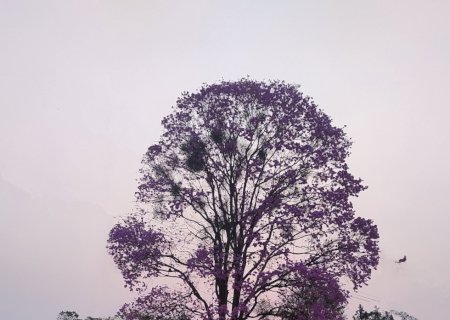 Novo episódio de frio intenso está previsto ainda neste mês para Mato Grosso do Sul