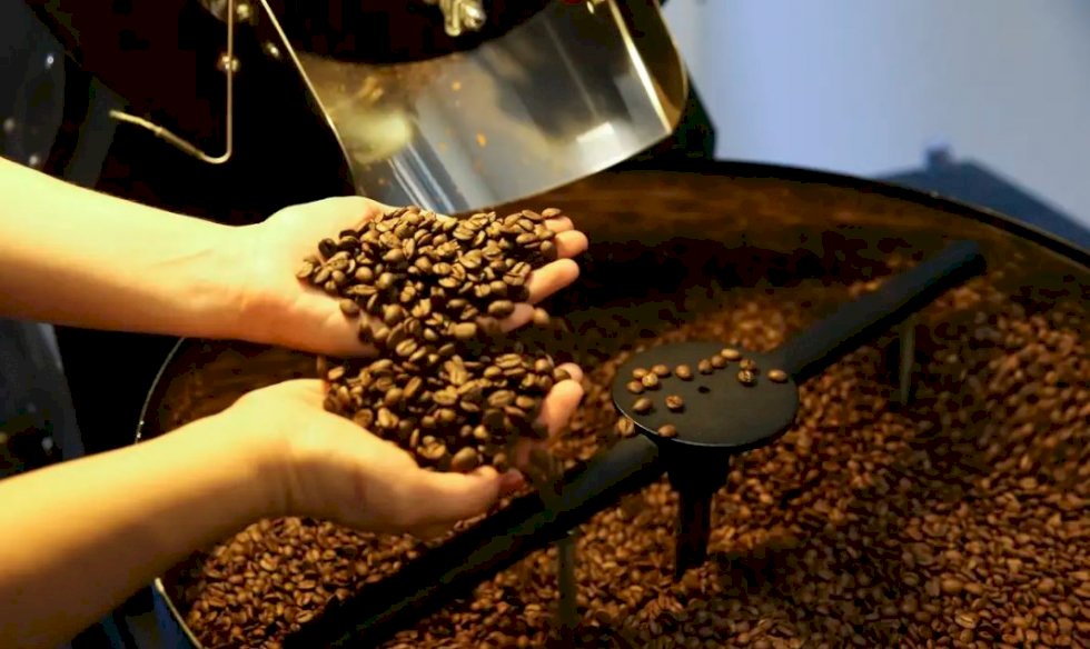 Clima, aumento do consumo e a China devem manter preço do café no Brasil em alta, diz Abic