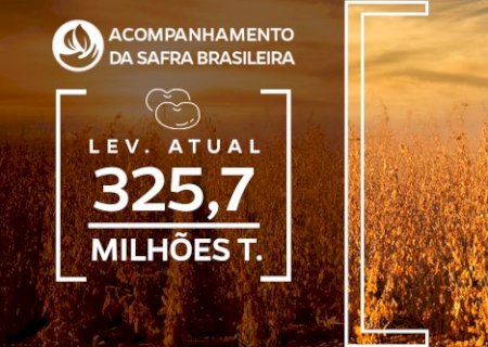 Movimentação brasileira de trigo no 1º bimestre de 2025 é recorde