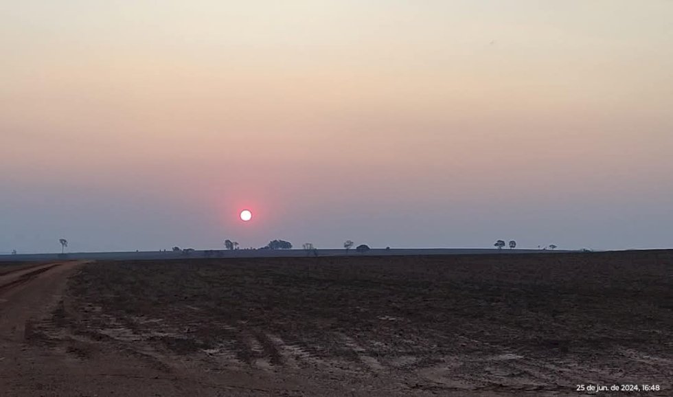 Agronegócio bate recorde com 28 milhões de pessoas atuando no setor em 2024