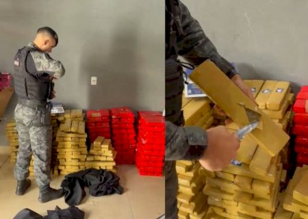 Mulher é presa com 486 kg de maconha escondidos nos fundos de casa