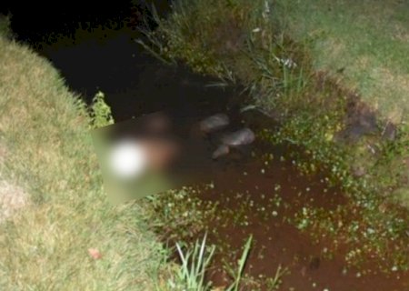 Menor é morto a tiros em briga de facções horas após ser colocado em liberdade pela Justiça