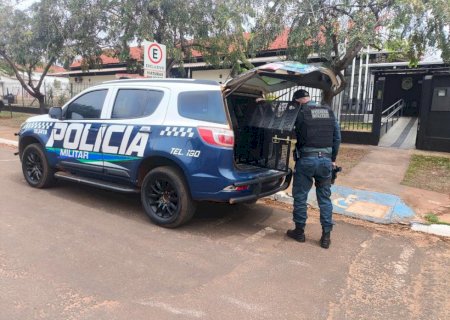Ivinhema: Polícia Militar atendeu ocorrência de descumprimento de medidas protetivas e ameaça de danos no bairro Vitória