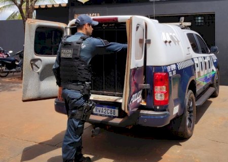 Angélica: Polícia Militar prende jovem por direção perigosa