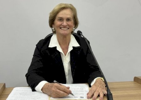 Prof. Denir solicita implantação da Casa do Artesanato no município