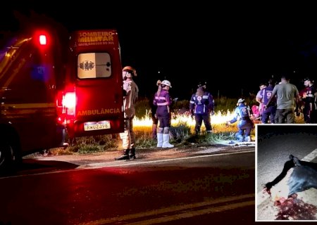 Motorista fica ferido após colidir carro contra cavalo na BR-060, em sidrolândia