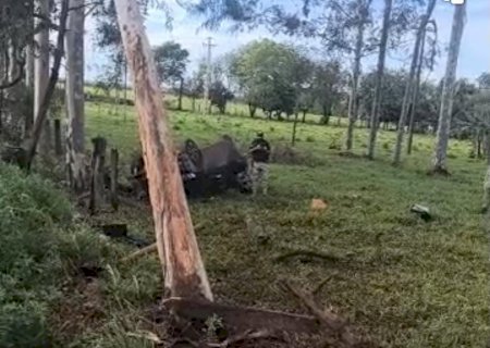 Motorista morre após sair da pista e colidir contra eucalipto na BR-376, em Fátima do Sul